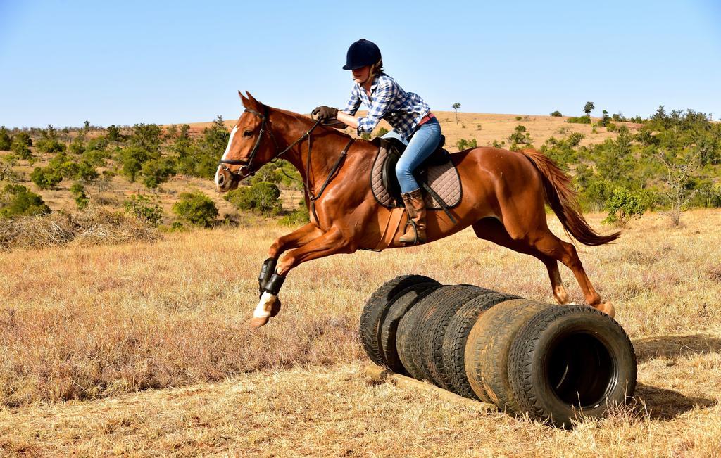 나뉴키 Olepangi Farm 빌라 외부 사진